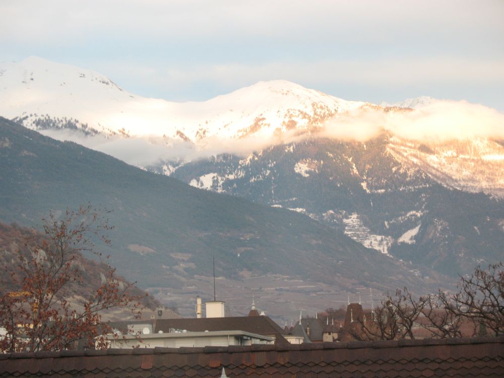 Vue depuis le cabinet Vue depuis le cabinet